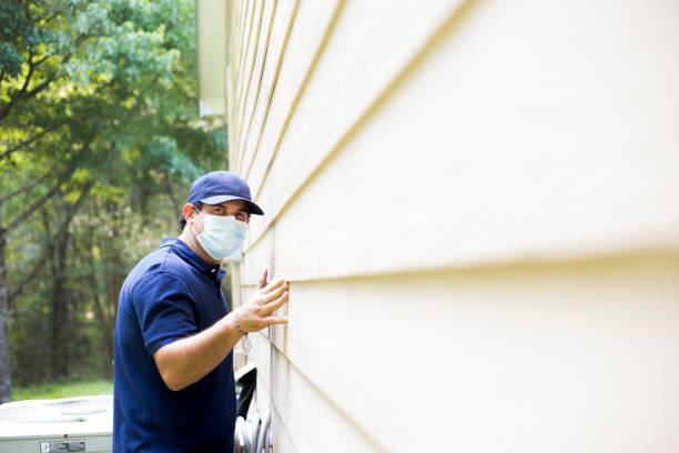 Best Siding Painting and Refinishing  in Canutillo, TX