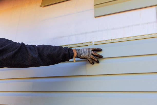 Best Custom Siding Design  in Canutillo, TX